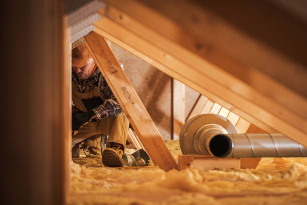 Best Air Duct Cleaning Near Me  in Dayton, KY